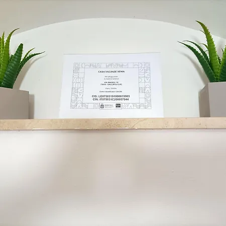 Apartment Xenia Vacanze